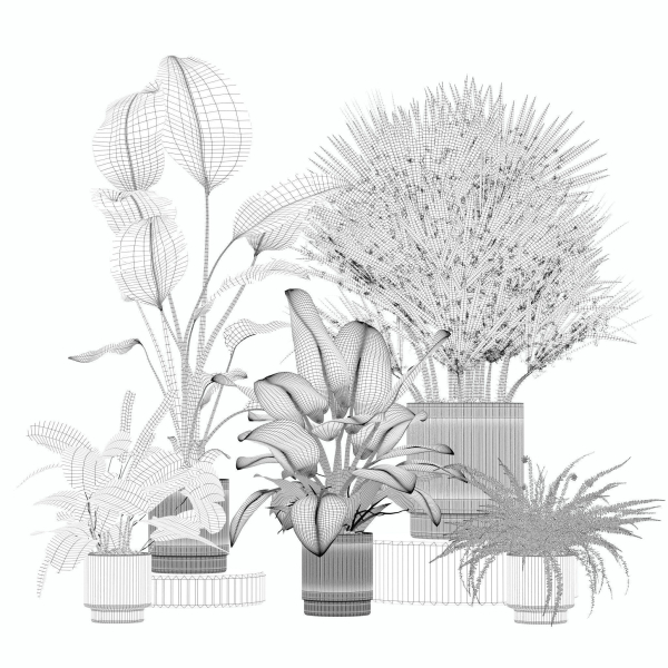 20 Photorealistic Flowers for Interiors - set 205 207 209 219