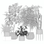 20 Photorealistic Flowers for Interiors - set 205 207 209 219