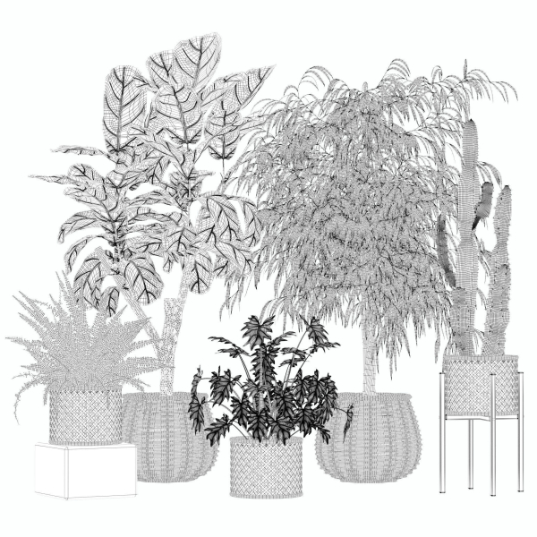 20 Photorealistic Flowers for Interiors - set 205 207 209 219