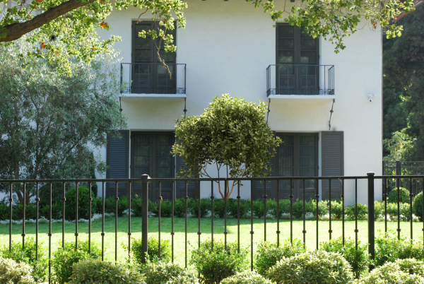 2021 PBR Cherry Laurel Collection - Prunus Laurocerasus