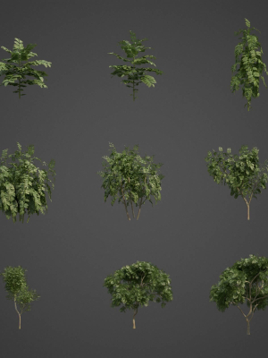 2021-pbr-curry-leaf-collection-murraya-koenigii-3d-model-max-obj-fbx-ma-blend-unitypackage
