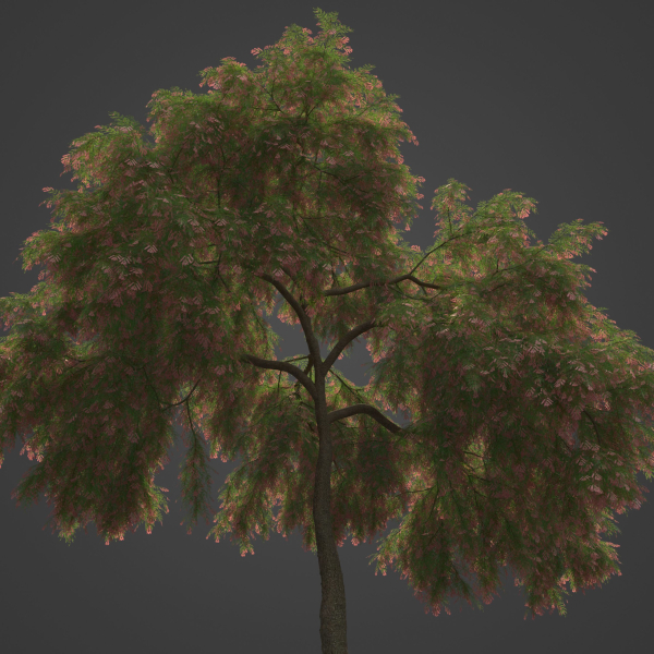 2021 PBR French Tamarisk Collection - Tamarix Gallica