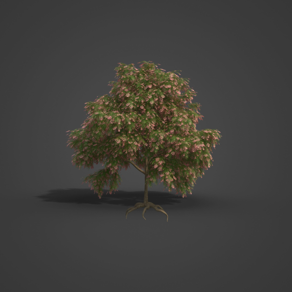2021 PBR French Tamarisk Collection - Tamarix Gallica