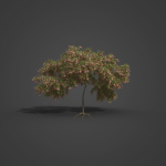 2021 PBR French Tamarisk Collection - Tamarix Gallica