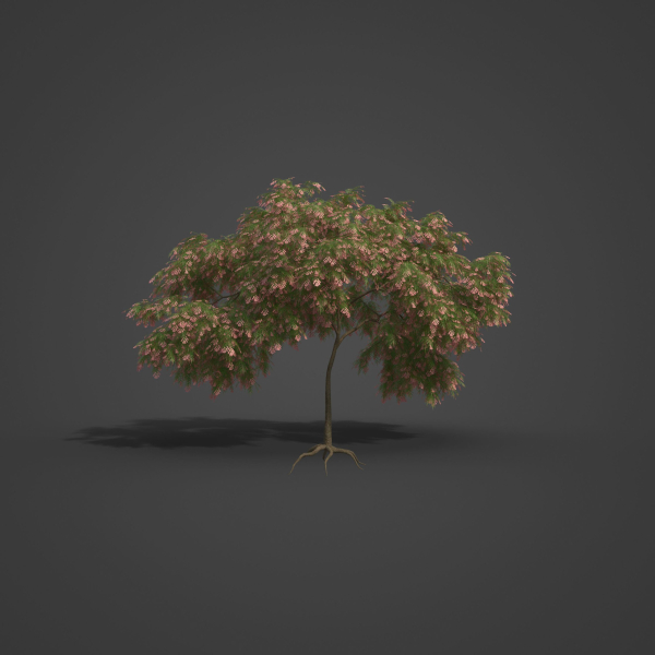 2021 PBR French Tamarisk Collection - Tamarix Gallica