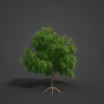 2021 PBR French Tamarisk Collection - Tamarix Gallica