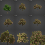 2021 PBR French Tamarisk Collection - Tamarix Gallica