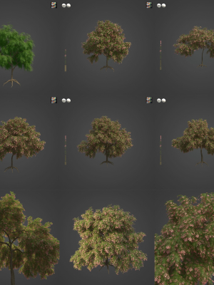 2021 PBR French Tamarisk Collection - Tamarix Gallica