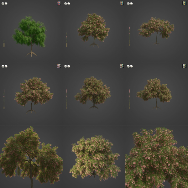 2021 PBR French Tamarisk Collection - Tamarix Gallica