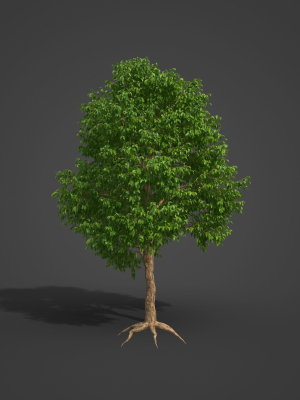 2021-pbr-guava-collection-psidium-guayava-3d-model-max-obj-fbx-ma-blend-unitypackage
