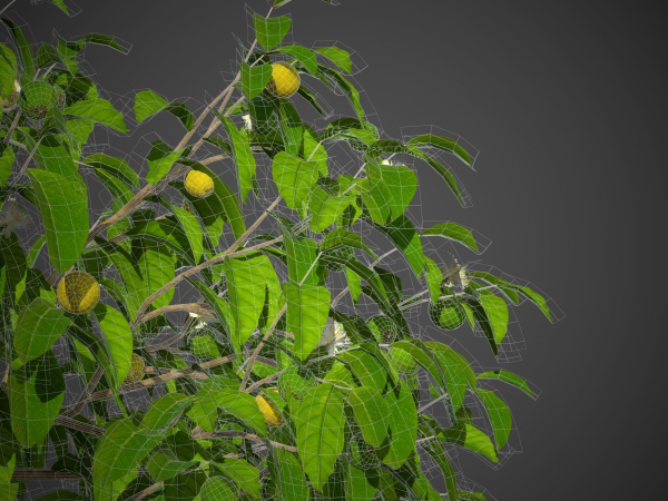 2021 PBR Guava Collection - Psidium Guayava