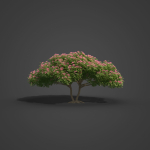 2021 PBR Monkey Pod Tree Collection - Samanea Saman