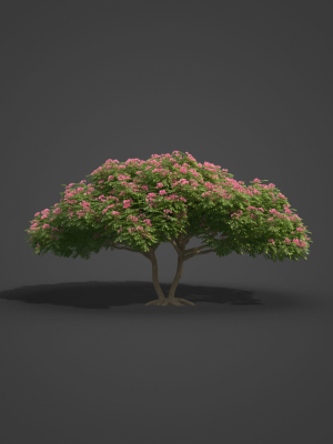 2021-pbr-monkey-pod-tree-collection-samanea-saman-3d-model-max-obj-fbx-ma-blend-unitypackage