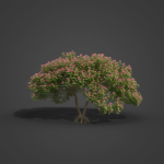 2021 PBR Monkey Pod Tree Collection - Samanea Saman