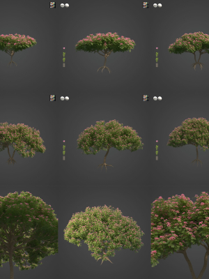 2021 PBR Monkey Pod Tree Collection - Samanea Saman
