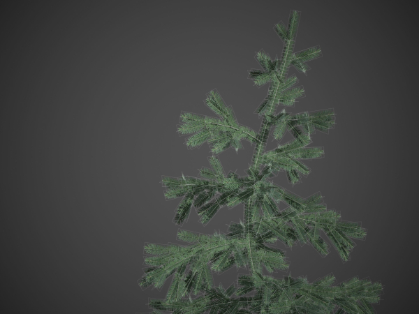 2021 PBR White Spruce Collection - Picea Glauca