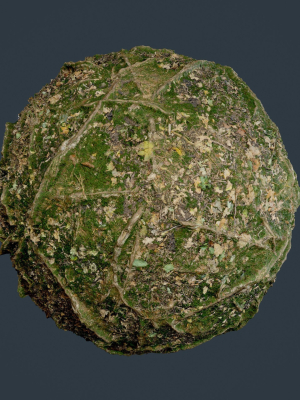 22-ground-forrest-seamless-pbr-texture-pack-3d-model