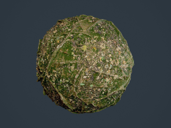 22 Ground Forrest Seamless PBR Texture Pack
