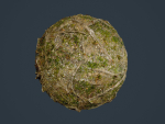 22 Ground Forrest Seamless PBR Texture Pack