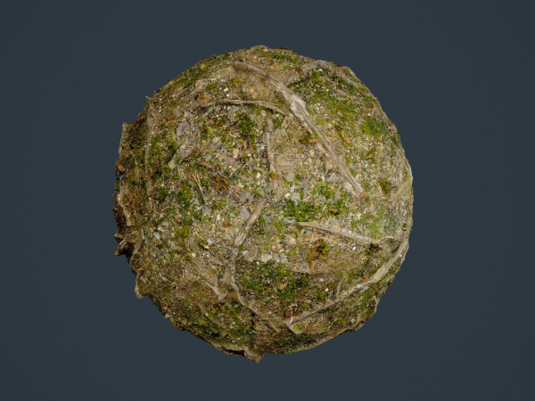 22 Ground Forrest Seamless PBR Texture Pack