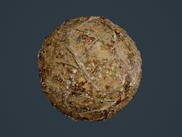 22 Ground Forrest Seamless PBR Texture Pack