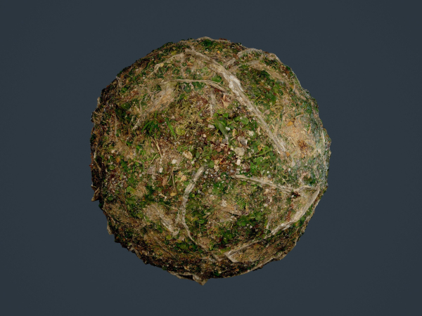 22 Ground Forrest Seamless PBR Texture Pack