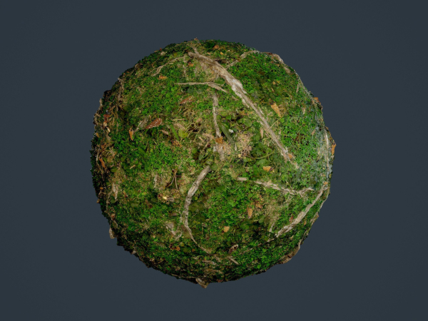 22 Ground Forrest Seamless PBR Texture Pack