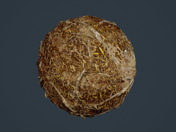 22 Ground Forrest Seamless PBR Texture Pack