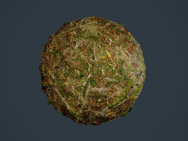 22 Ground Forrest Seamless PBR Texture Pack