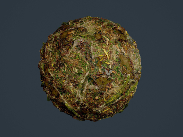 22 Ground Forrest Seamless PBR Texture Pack