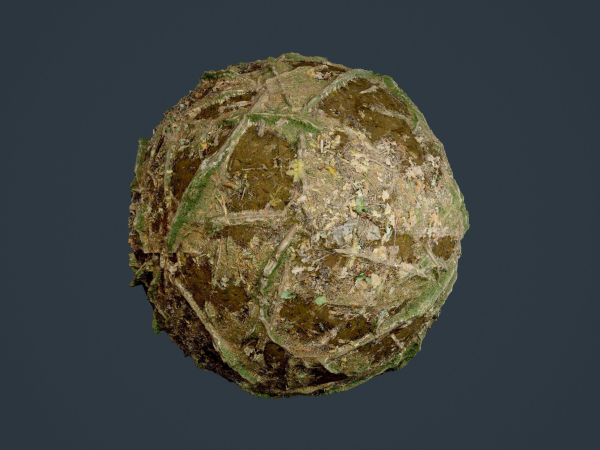 22 Ground Forrest Seamless PBR Texture Pack