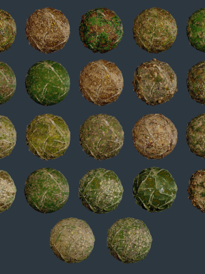 22 Ground Forrest Seamless PBR Texture Pack