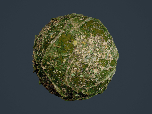 22 Ground Forrest Seamless PBR Texture Pack