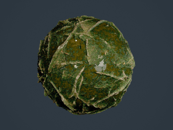 22 Ground Forrest Seamless PBR Texture Pack
