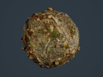 22 Ground Forrest Seamless PBR Texture Pack