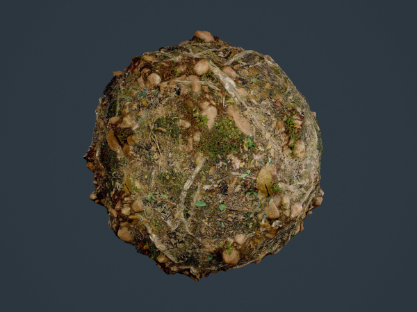 22 Ground Forrest Seamless PBR Texture Pack