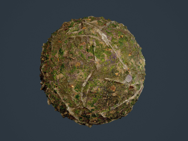 22 Ground Forrest Seamless PBR Texture Pack