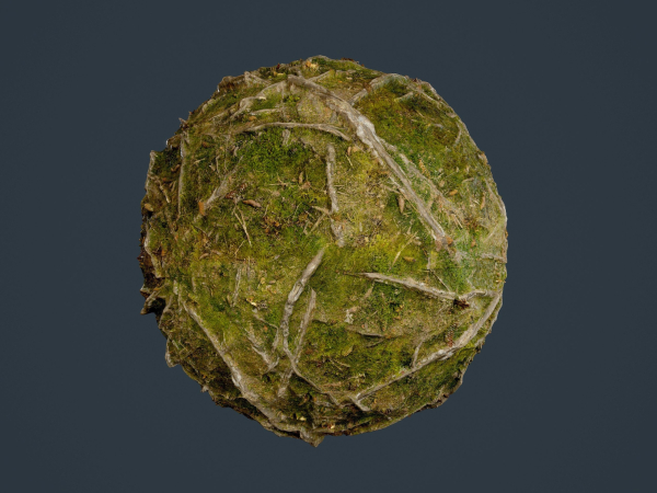 22 Ground Forrest Seamless PBR Texture Pack