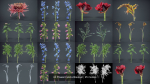 24 Flowers and a Bouquet