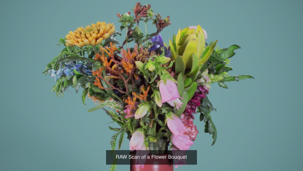 24 Flowers and a Bouquet