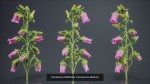 24 Flowers and a Bouquet