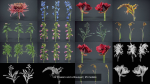 24 Flowers and a Bouquet