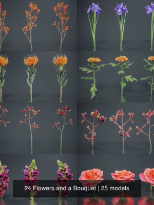24-flowers-and-a-bouquet-3d-model-96a8141af7