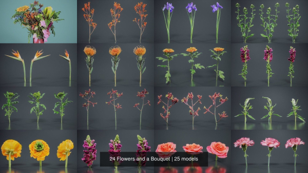 24 Flowers and a Bouquet