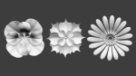 25 Decorative and heraldic flower heads IMM brush set for Zbrush