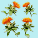 25 Flower Collection
