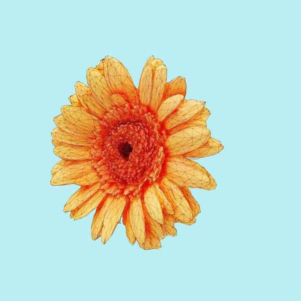 25 Flower Collection
