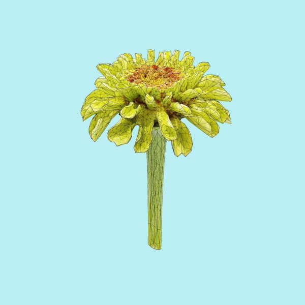 25 Flower Collection