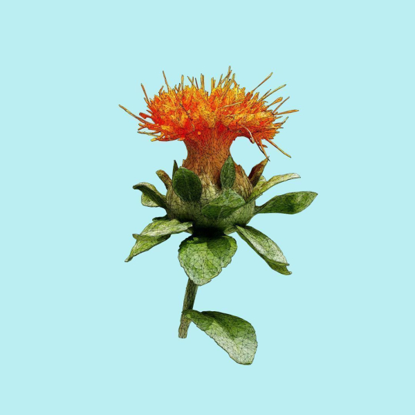 25 Flower Collection