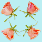 25 Flower Collection